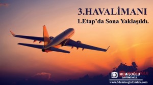 planeflying (2).jpg